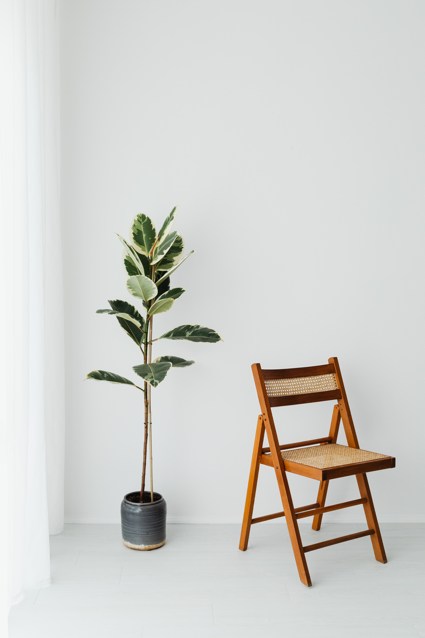 Wooden Folding Chair Beside Green Plant
